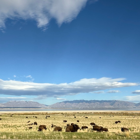 Meet your Posher, Paige - Picture 1 of 1